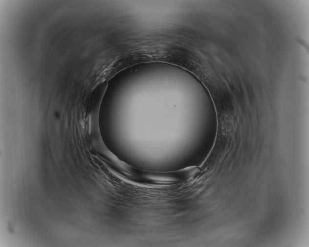 X0000097891298200803141324