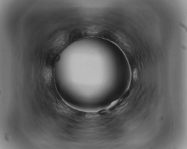 X0000097891299200803141324