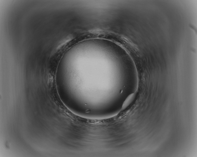 X0000097891302200803141324