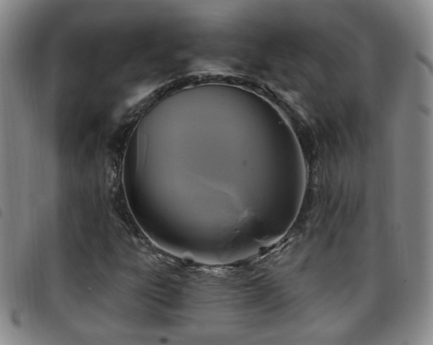 X0000097891303200803141324