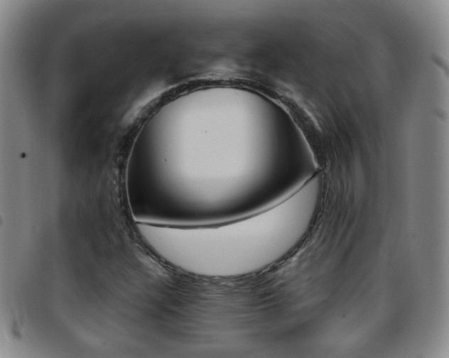 X0000097891304200803141324