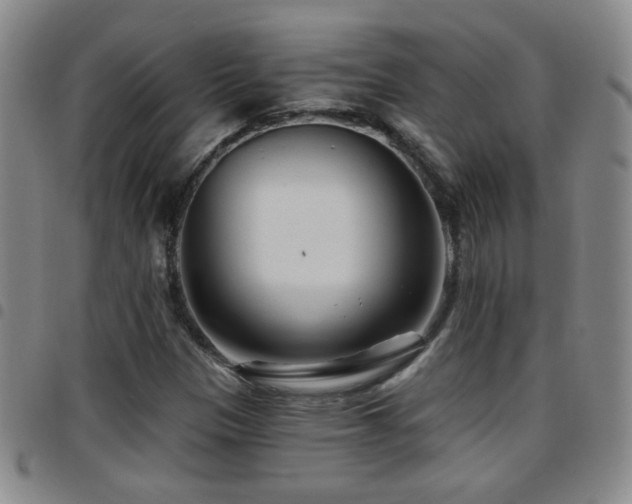 X0000097891305200803141324