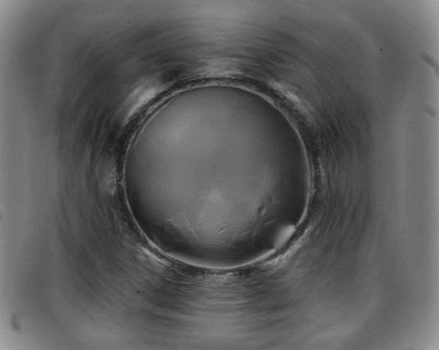 X0000097891306200803141324