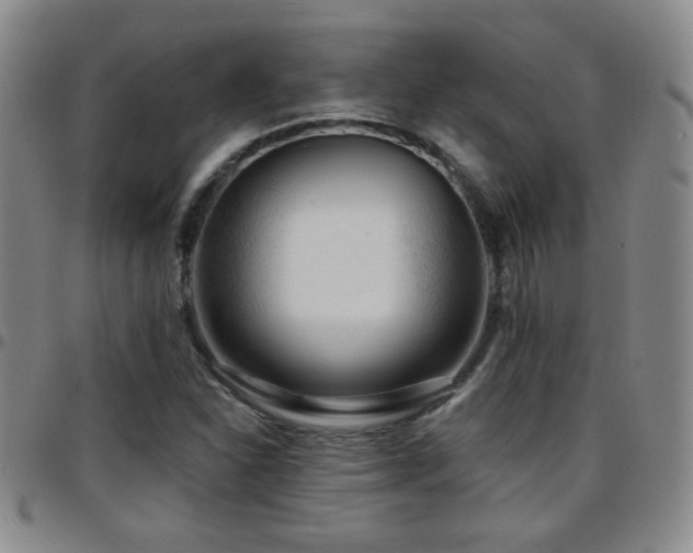 X0000097891310200803141324