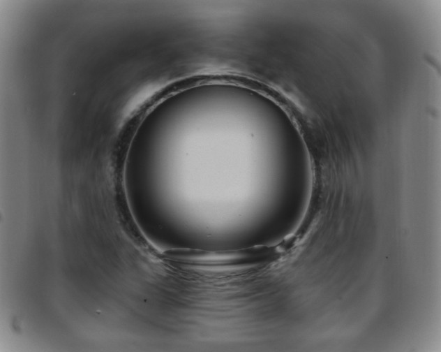 X0000097891311200803141324