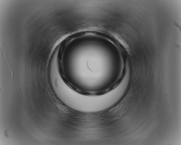 X0000097891316200803141324