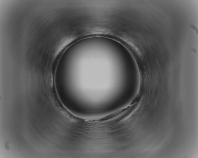 X0000097891317200803141324