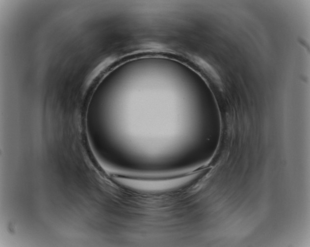 X0000097891318200803141324
