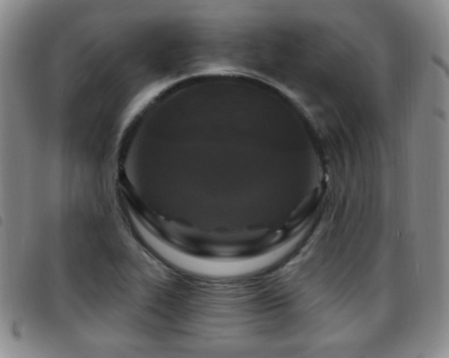 X0000097891319200803141324
