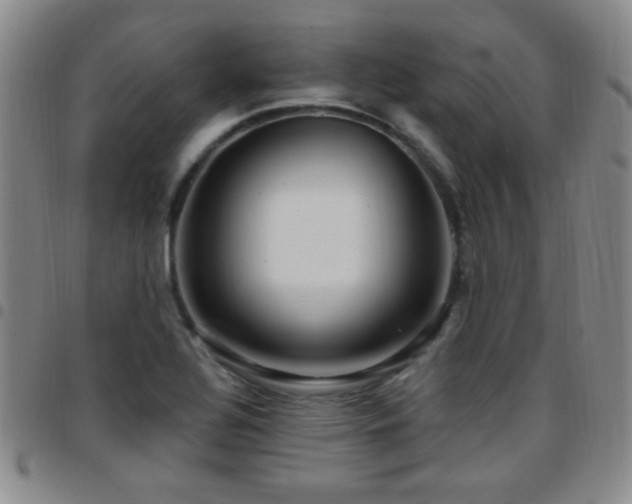 X0000097891320200803141324