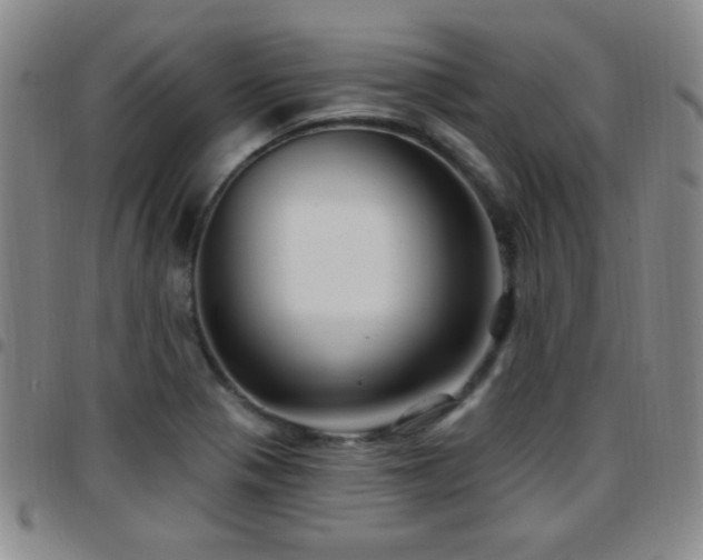 X0000097891321200803141324