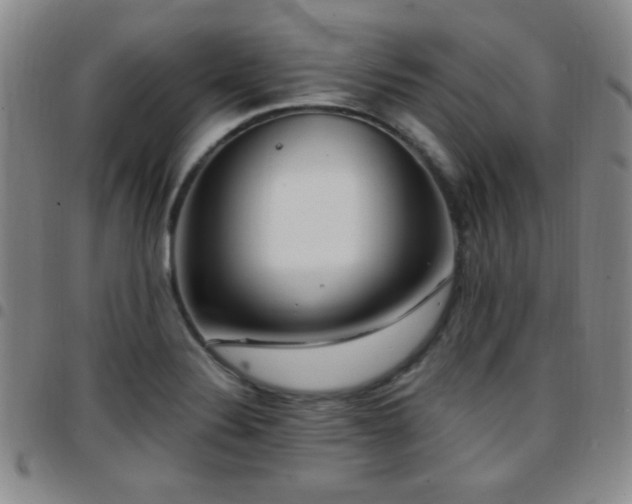 X0000097891324200803141324