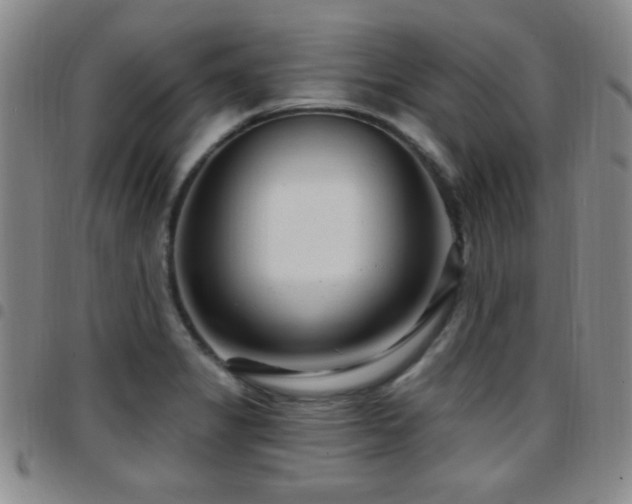 X0000097891325200803141324