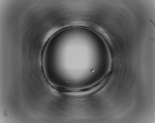 X0000097891328200803141324
