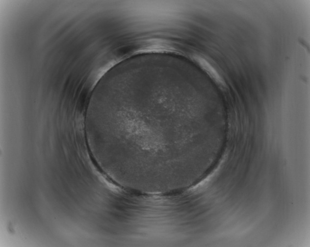 X0000097891329200803141324