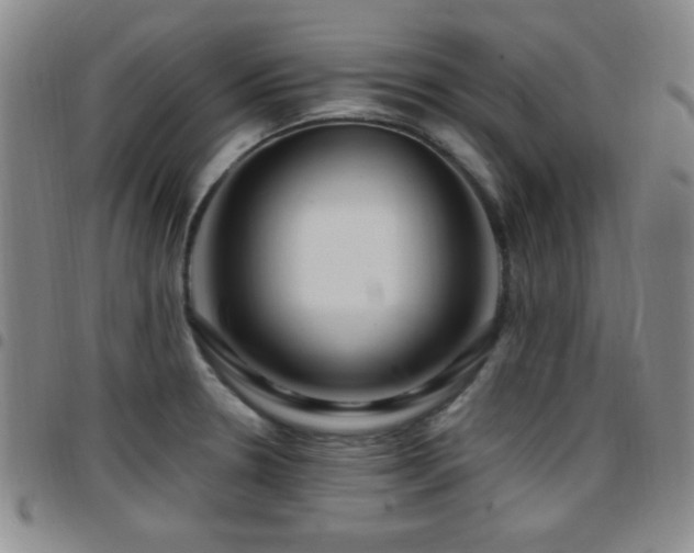 X0000097891330200803141324