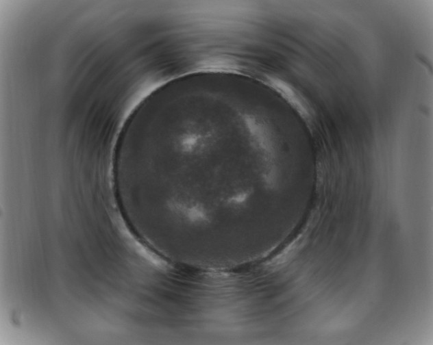 X0000097891331200803141324