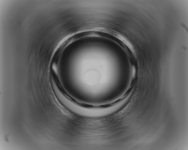 X0000097891332200803141324