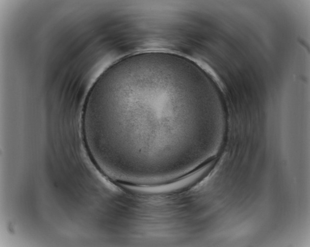 X0000097891333200803141324