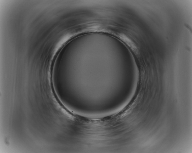 X0000097891334200803141324