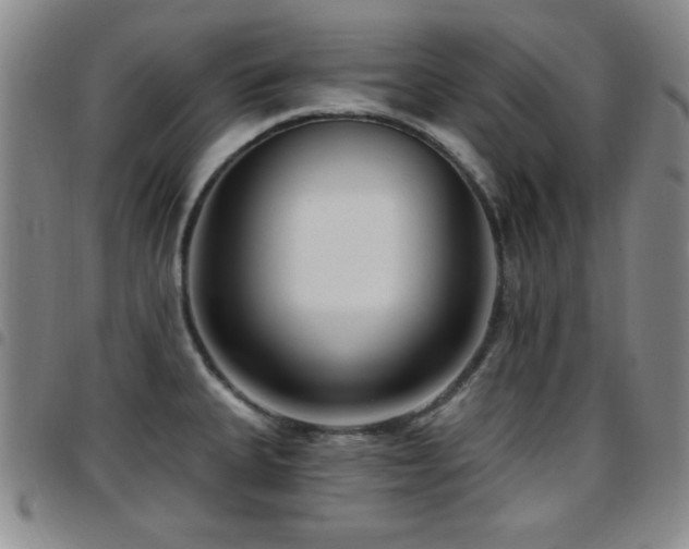 X0000097891335200803141324