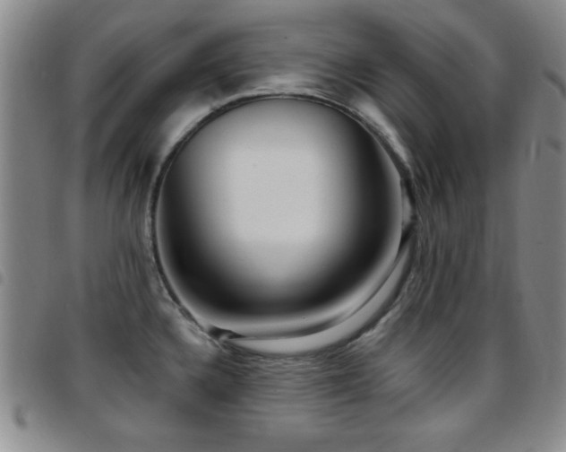 X0000097891336200803141324