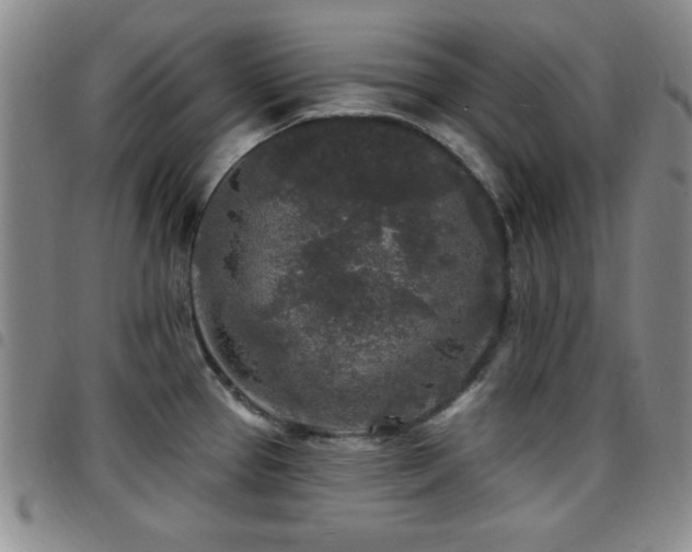 X0000097891337200803141324