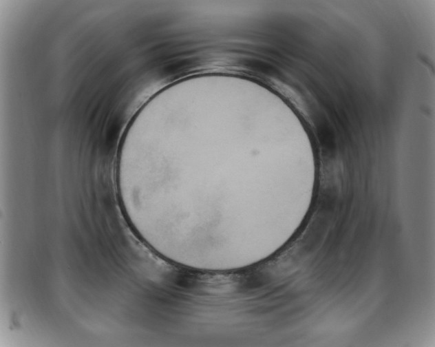 X0000097891338200803141324