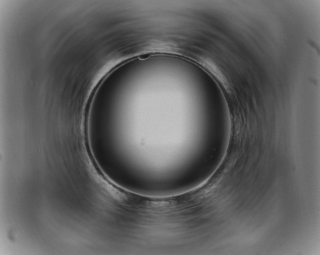 X0000097891339200803141324