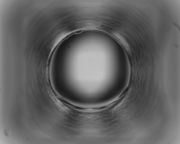 X0000097891340200803141324