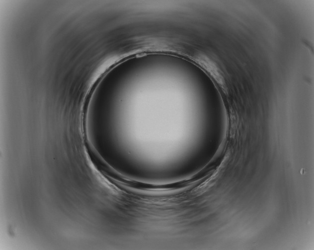 X0000097891342200803141324