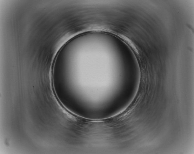 X0000097891343200803141324