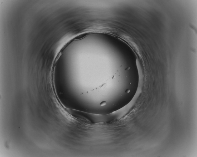 X0000097891344200803141324