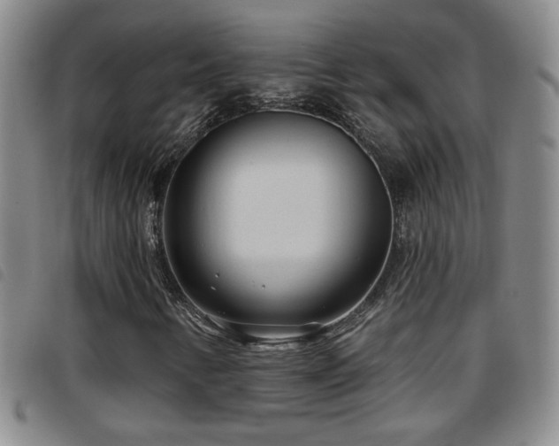 X0000097891346200803141324