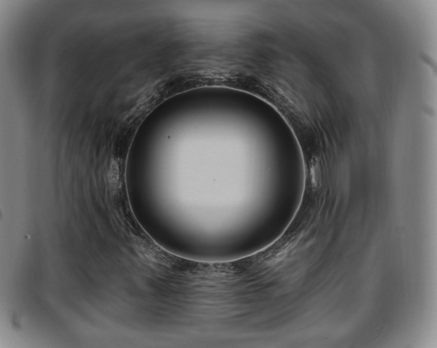 X0000097891347200803141324