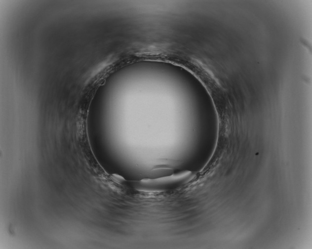 X0000097891350200803141324