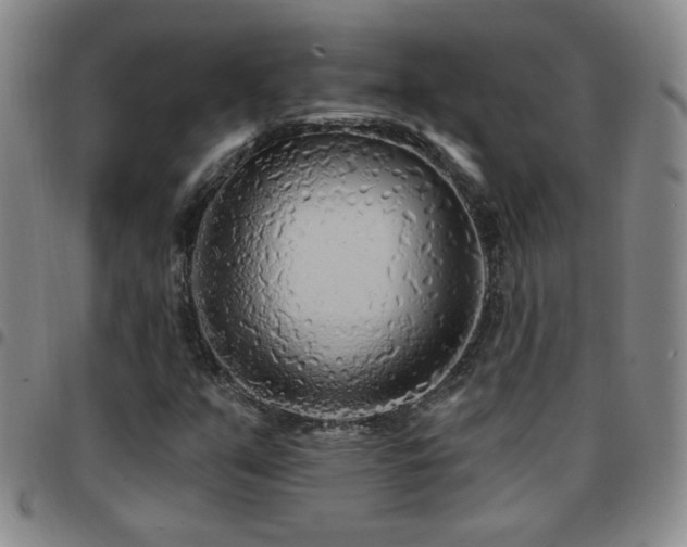 X0000097891351200803141324