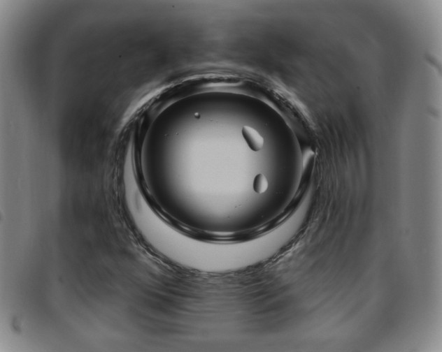 X0000097891352200803141324