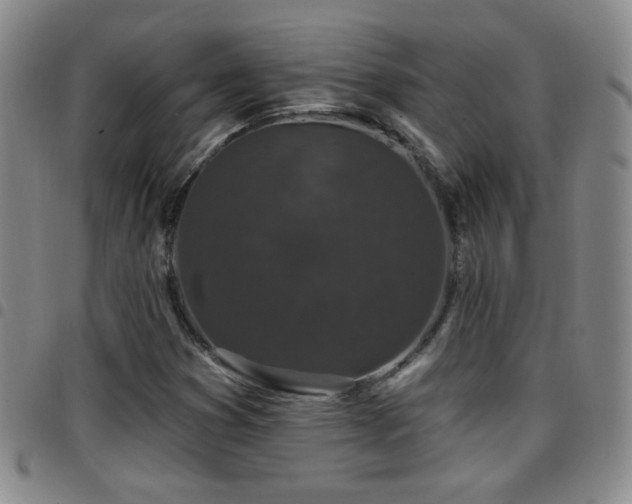 X0000097891353200803141324