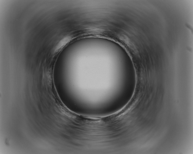 X0000097891354200803141324