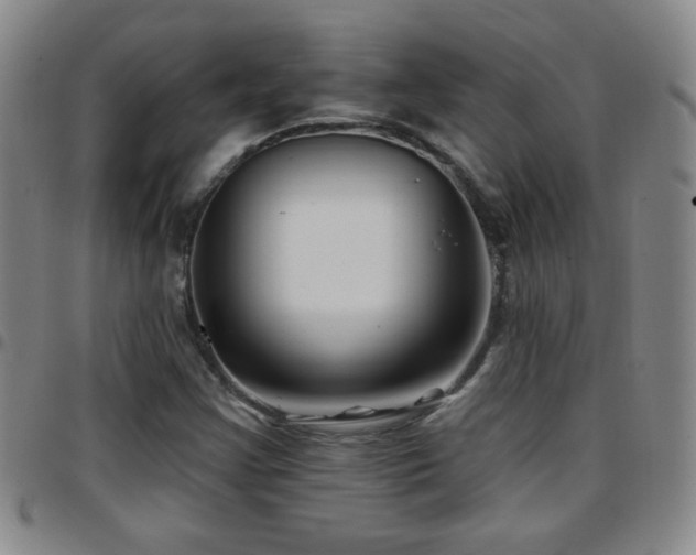 X0000097891355200803141324