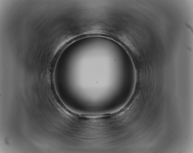X0000097891356200803141324