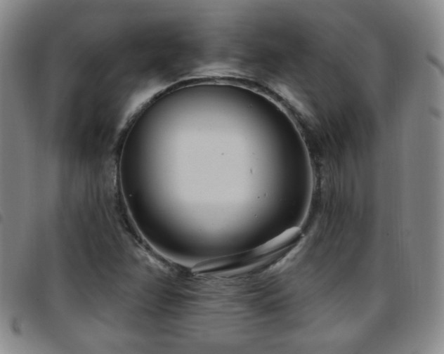 X0000097891358200803141324