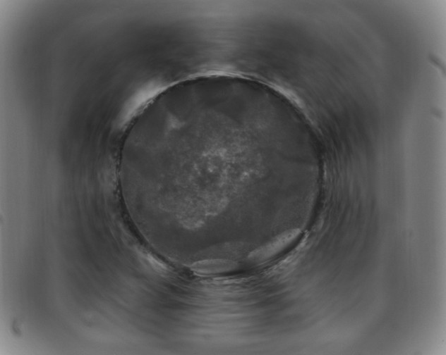 X0000097891359200803141323