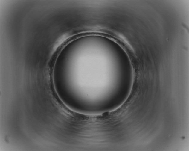 X0000097891360200803141323