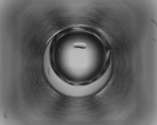 X0000097891361200803141323