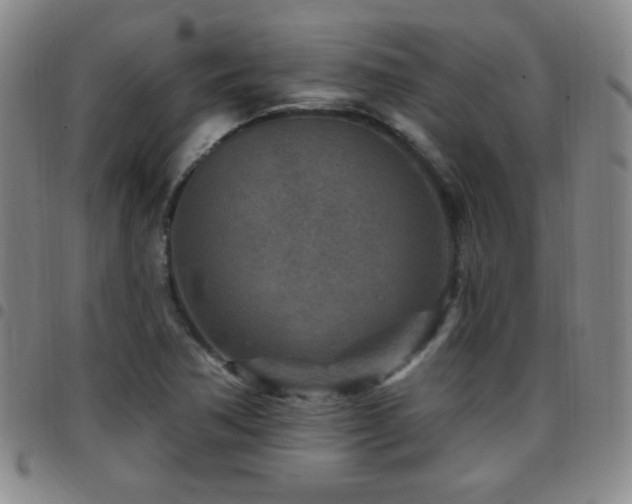 X0000097891362200803141323