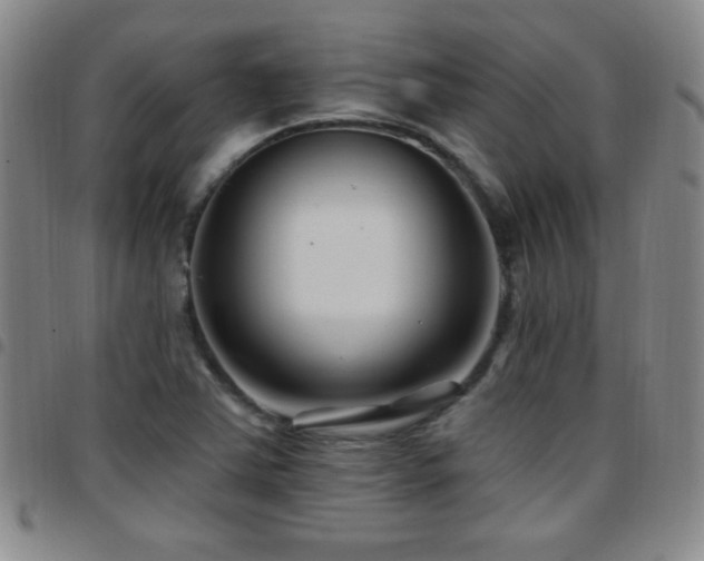 X0000097891363200803141323