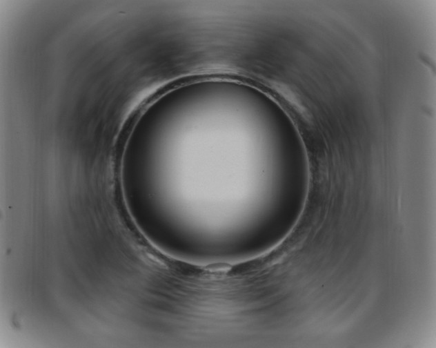 X0000097891364200803141323