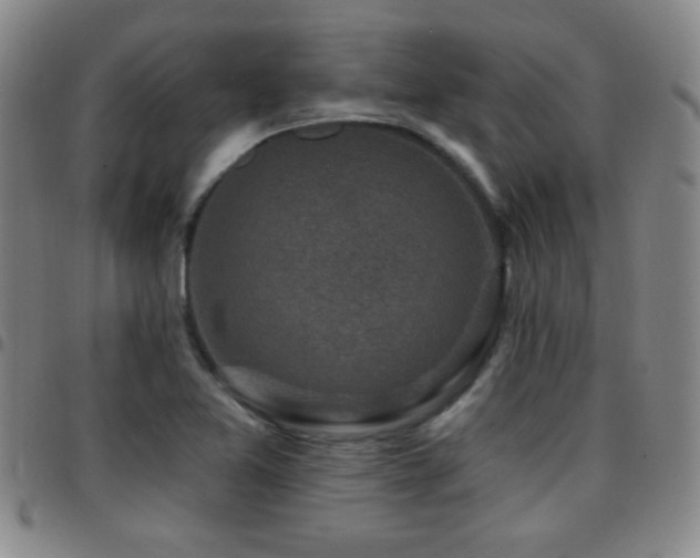 X0000097891365200803141323